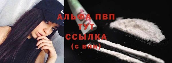 ПСИЛОЦИБИНОВЫЕ ГРИБЫ Михайлов
