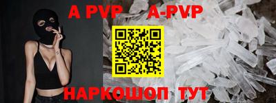 jwh Кингисепп