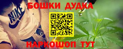jwh Кингисепп