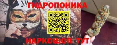 jwh Кингисепп
