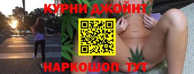 jwh Кингисепп