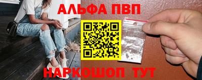 jwh Кингисепп