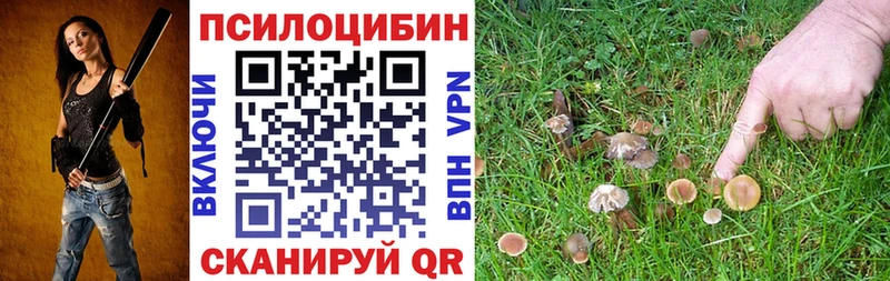 Псилоцибиновые грибы ЛСД  что такое   Лабинск 
