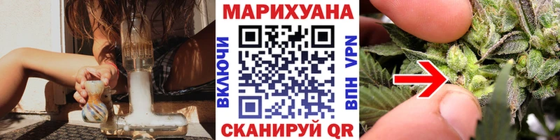 Бошки Шишки план  закладки  Лабинск 